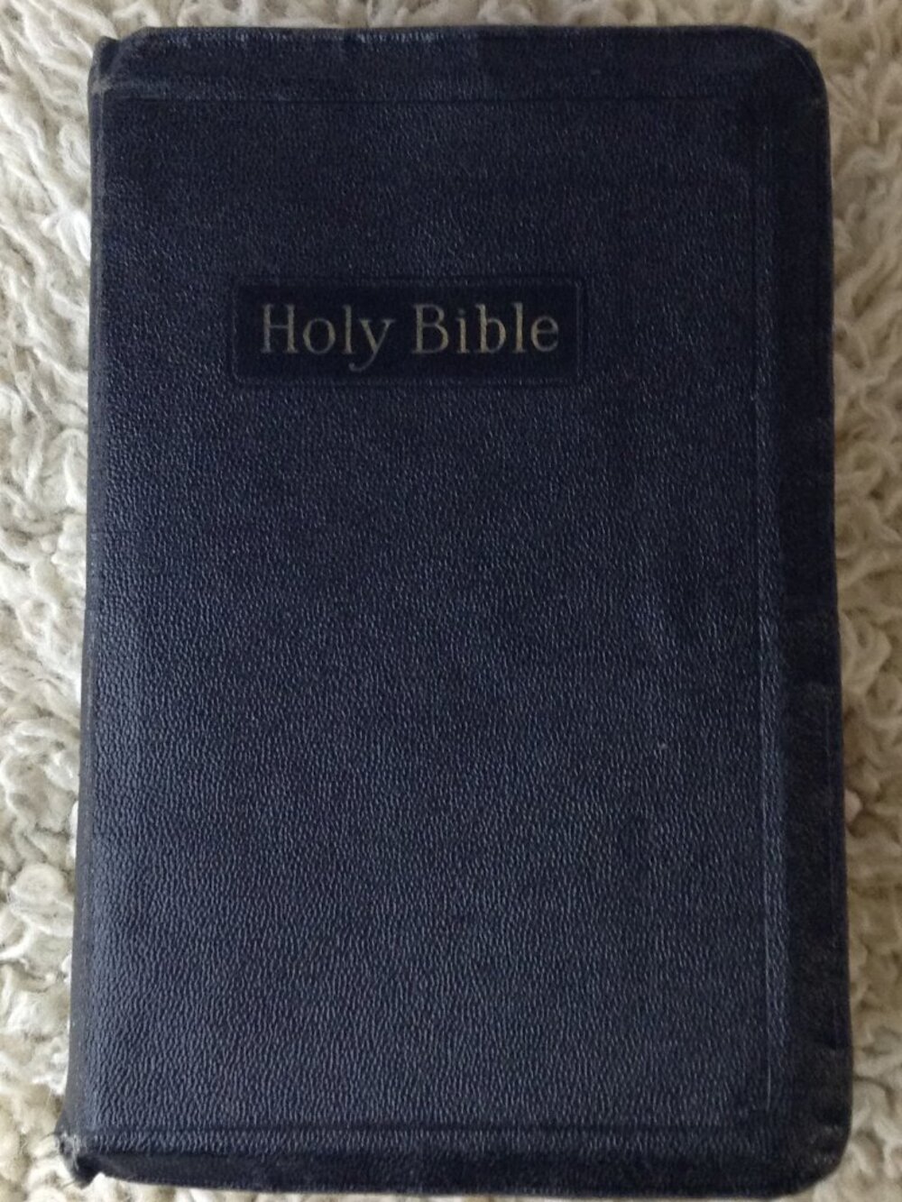 VTG 1930's AJ Holmann's Devotional Bible Leather Bound Religious Illustrations